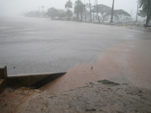 Ala Wai Canal during heavy rain. Credit: Grieg Steward, UHM SOEST.