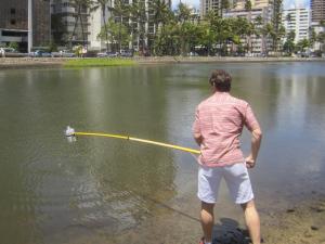 Senior author Grieg Steward collecting samples from Ala Wai Canal. Credit: UHM SOEST.