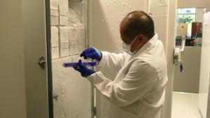 Professor Tung Hoang performing research.