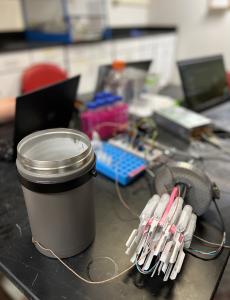 Cryopreservation device