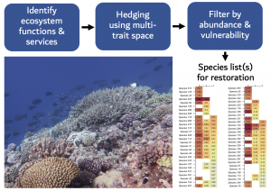 Graphical representation of the framework this work provides. 