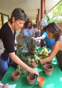(Photo credit: Osher Lifelong Learning Institute at UH Mānoa)