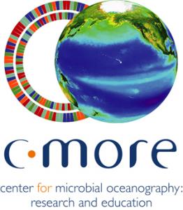 C-MORE logo