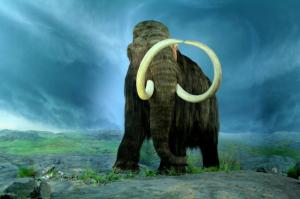 Image of Woolly Mammoth at the Royal BC Museum, Victoria, British Columbia courtesy Wikipedia Common