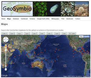 Screenshot of the GeoSymbio maps webpage for geographic visualization of Symbiodinium clades 