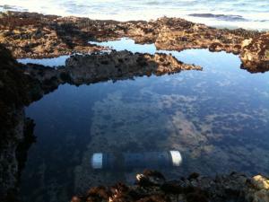 A pH sensor and housing are seen here deployed in a tidepool in central California at low tide.