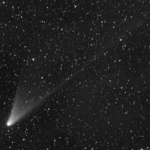 Comet PANSTARRS. Photo by Terry Lovejoy/Austrailia.