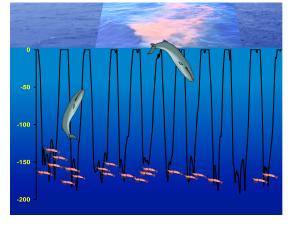 Whales transfer nutrients from deep to surface water via plumes of fecal matter. Credit:Roman et al.