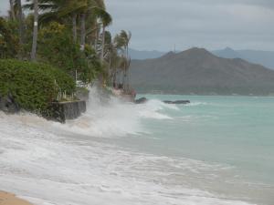 In Hawaii, increased sea level rise may cause a doubling of beach erosion by 2050 (C.Fletcher).