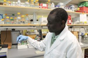 James Turkson holds ironweed plant extract.