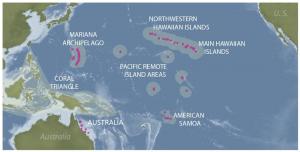 Map of study areas. Adapted from NOAA Coral Reef Ecosystem Program. 