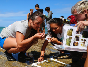 University Laboratory School students in Our Project in Hawai‘i’s Intertidal.
