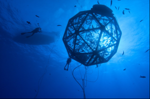 A state-of-the-art copper-alloy meshed Aquapod® drifting fish cage designed by Kampachi Farms to take offshore aquaculture “over-the-horizon.”