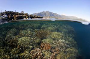 Over and under image of Kaneohe Bay showing healthy coral reefs and the Koolau Range in the background. (Photo courtesy of Andre P. Seale)