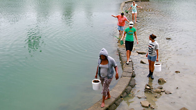 Students walking on rock wall in ocean