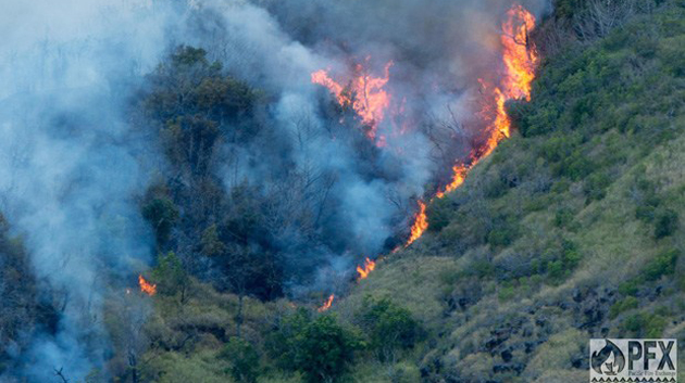 Oahu wildfire