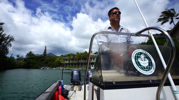 man driving boat