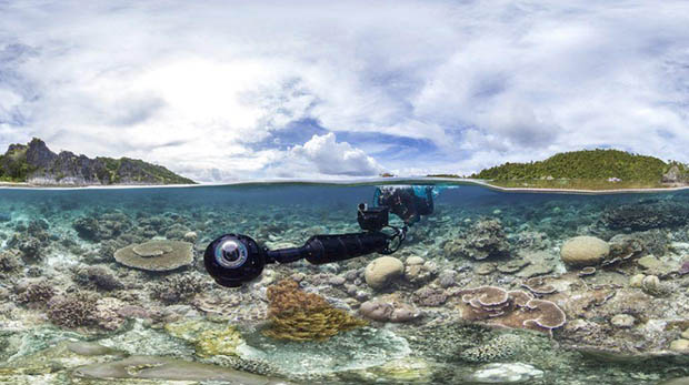 Diver above coral reef