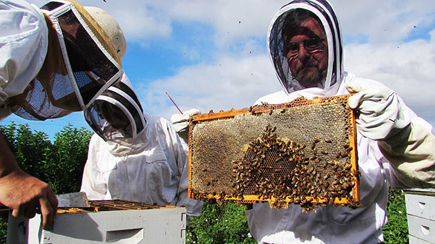 Man holding honeycomb