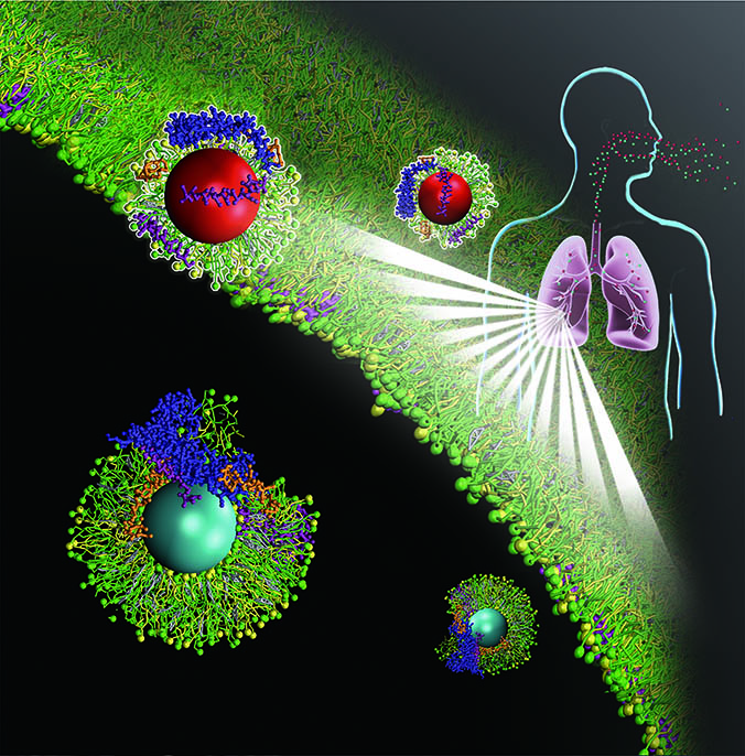 graphic of nanoparticles in lungs