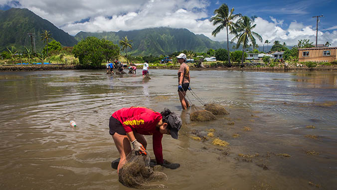 People working on cleaning a fishpond