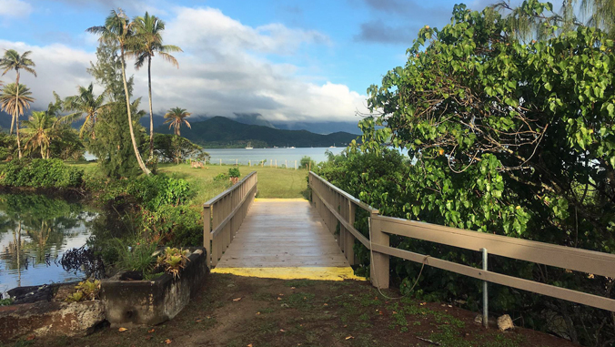 view of bridge, plants and ocean view