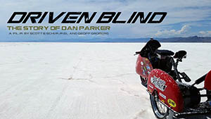 Poster for Driven Blind