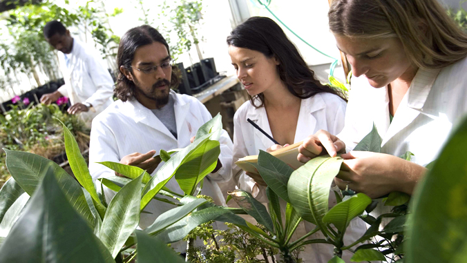 U H Manoa students examining plants in a lab