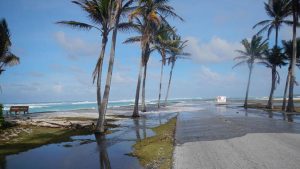 Waves in the background and water washing over a road