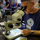 Native seed conservation practices explored at Lyon Arboretum