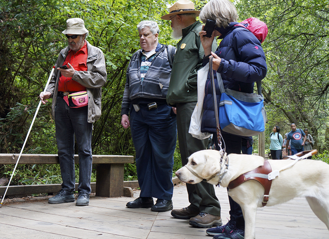 people field testing audio description of Muir Woods