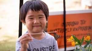 boy holding a stick with a butterfly on it