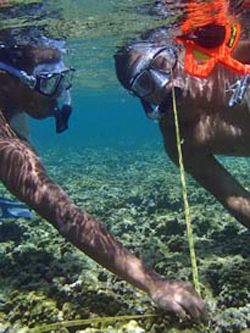 2 people underwater studying coral reef