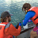 Novel, abundant nitrogen-fixing microbes in surface ocean discovered