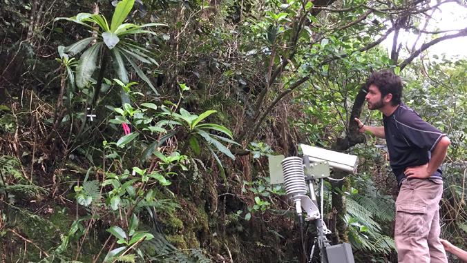 Fortini looking at Caly plant