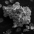 Experiments trace interstellar dust back to solar system’s formation