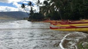 Beach in Kihei