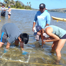 Kapiʻolani CC launches 1st UH sustainability certificate program
