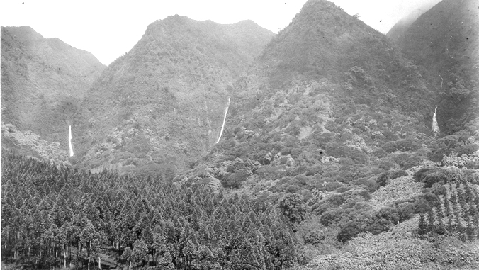 1930 photo of Manoa Valley