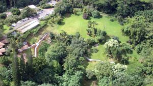 aerial photo of Lyon Arboretum in 2003