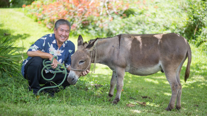 Alan Wong and Bob-Bob