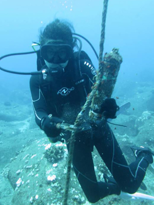 Delevaux diving