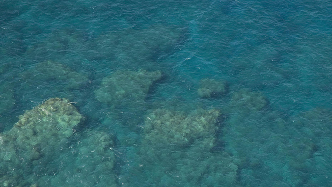 the ocean