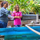 Helping Waimānalo families use aquaponics, improve health