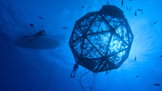 Kampachi fish in a cage ball in the ocean