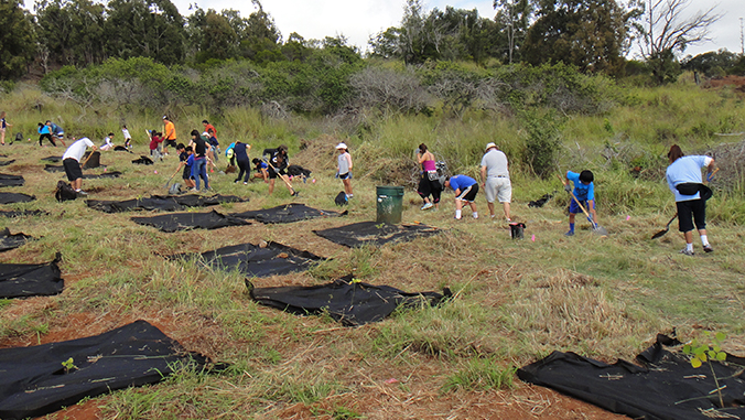 Volunteers digging up dirt to plant trees