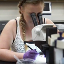UH Hilo students use biotechnology methods to study invasive mosquitoes