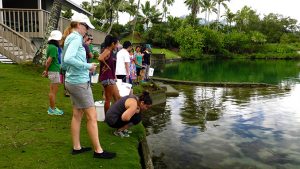 people preparing to gather algae