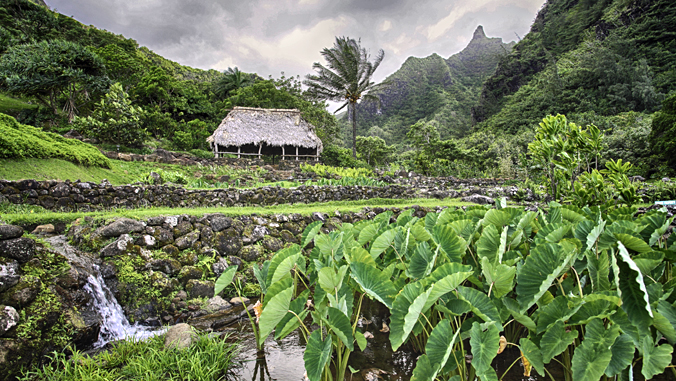 loi in Limahuli Valley