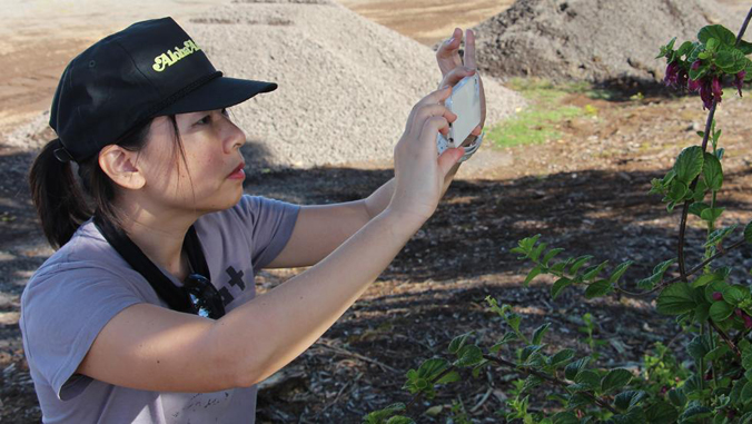 woman taking a photo with phone